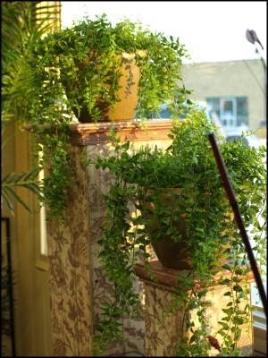 Every Little Thing | 130 Mountain St, Strasbourg, SK S0G 4V0, Canada | Phone: (306) 725-4350