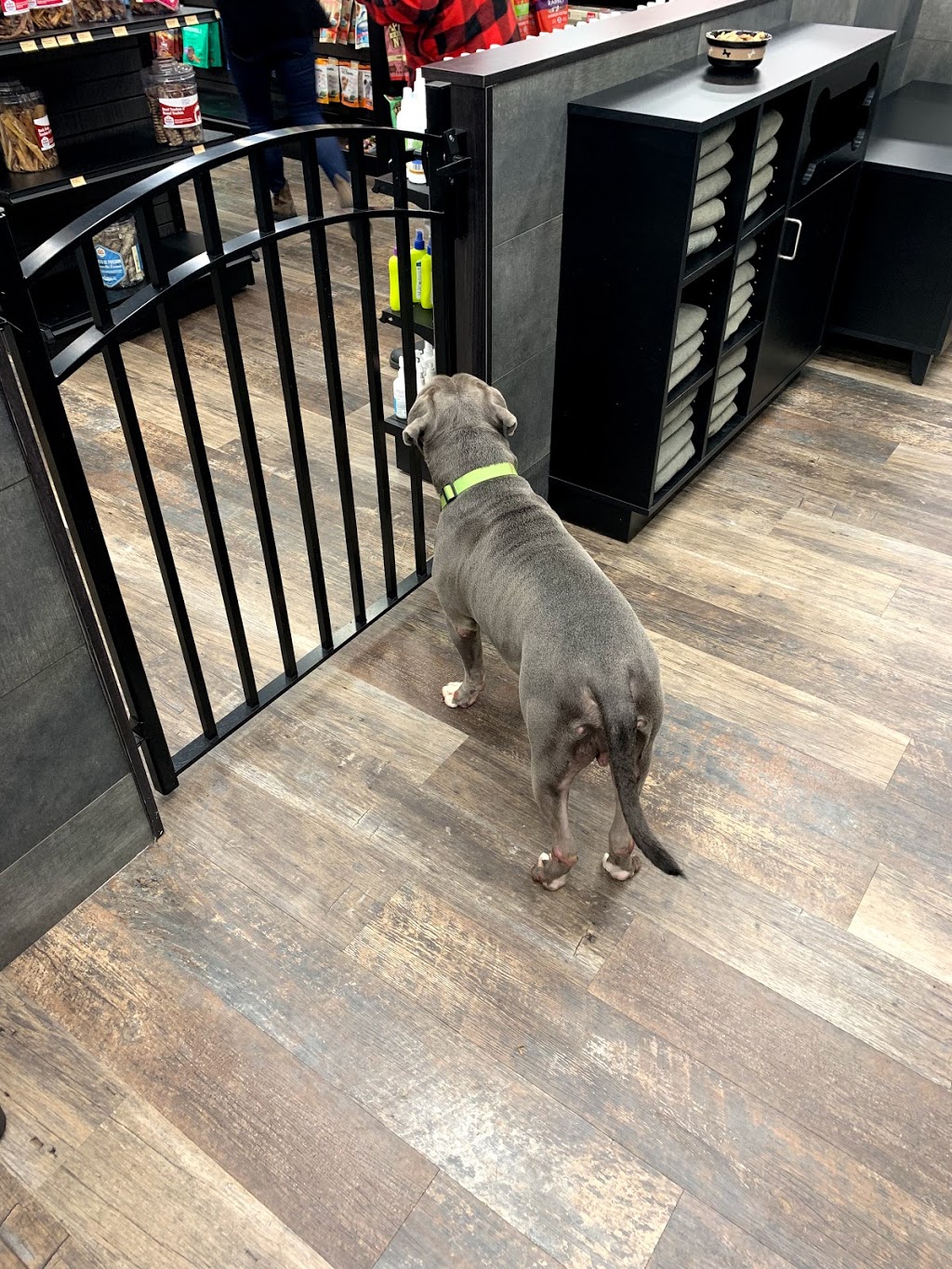 Bosleys by Pet Valu | 2828 E Hastings St Unit 101, Vancouver, BC V5K 5C5, Canada | Phone: (604) 251-3917
