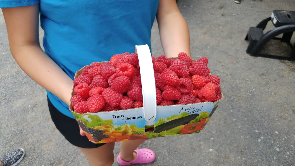 Fraisière & framboisière Karl Lauzière | 180 12e Rang N, Saint-Nazaire-dActon, QC J0H 1V0, Canada | Phone: (819) 392-2249