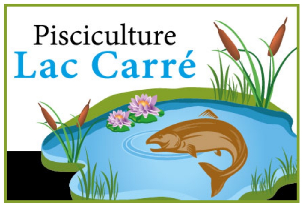 Plc | 1151 principale, St-faustin lac carre, QC J0T 1J3, Canada | Phone: (819) 688-2030