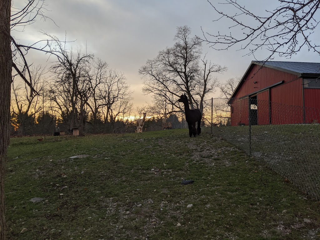 Riverside oasis farm | 6696 Canborough Rd, Wellandport, ON L0R 2J0, Canada | Phone: (289) 442-5733