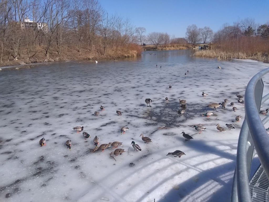 Colonel Samuel Smith Skating Trail | 65 Colonel Samuel Smith Park Dr, Etobicoke, ON M8V 4B6, Canada | Phone: (416) 392-9715