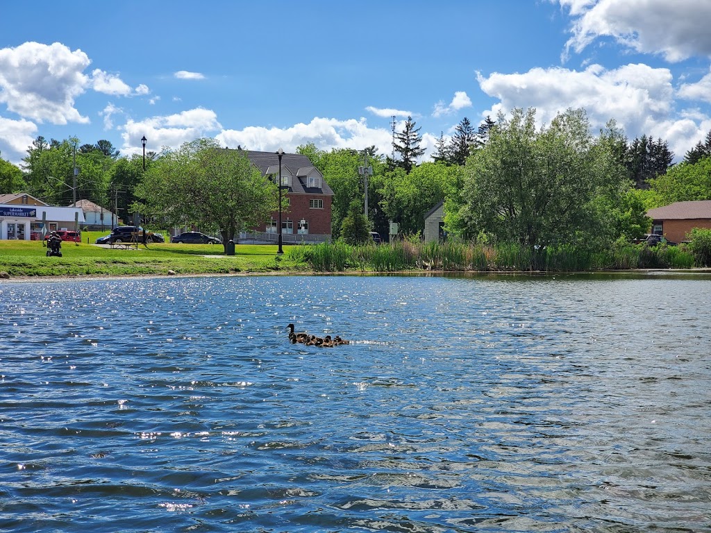 Bewdley Optimist Park | Rice Lake Dr N, Bewdley, ON K0L 1E0, Canada | Phone: (905) 372-5662