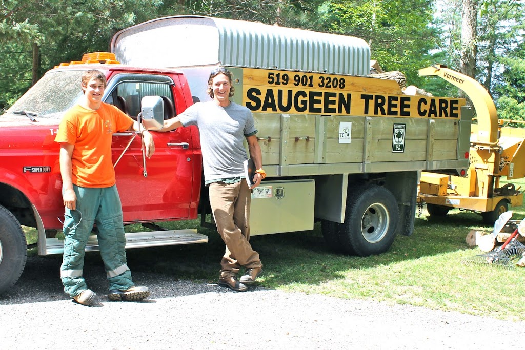 Saugeen Tree Care | 296 Concession Rd 6 E, Mildmay, ON N0G 2J0, Canada | Phone: (519) 901-3208
