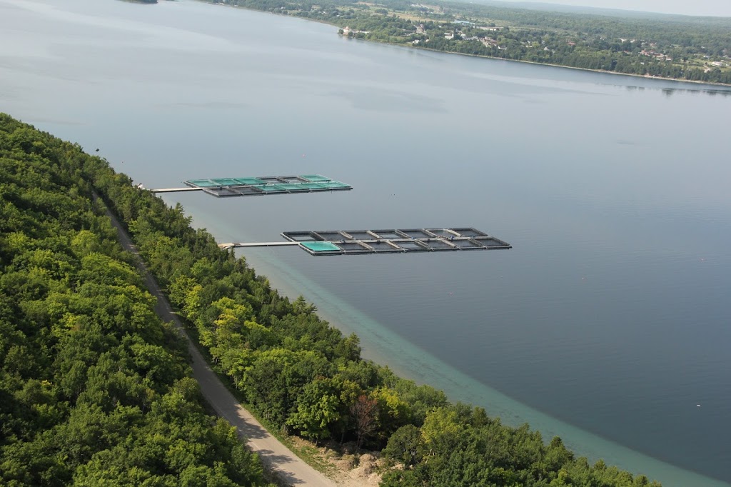 Buzwah Fisheries | 1103 Lake Shore Rd, Wikwemikong, ON P0P 2J0, Canada | Phone: (705) 859-1807