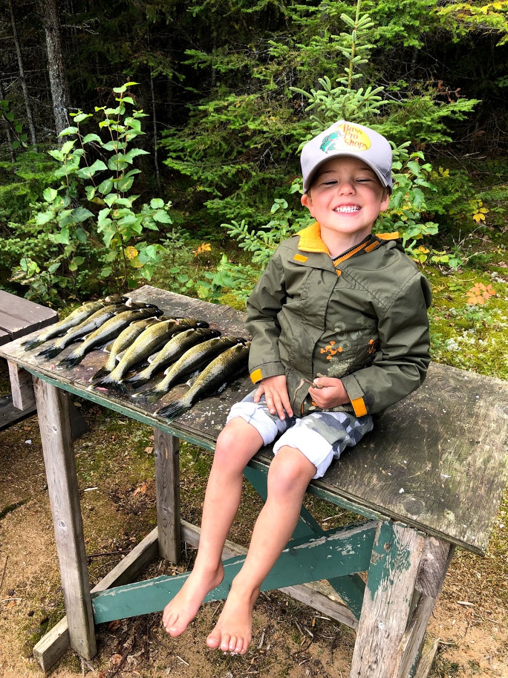 Larrys Baits | 4795 HWY 11-17, Kakabeka Falls, ON P0T 1W0, Canada | Phone: (807) 473-9321