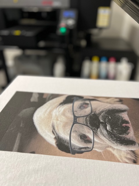 Ottawa DTG Inc. | Inside Red Diamond Screenprinting bldg, 43 Grenfell Crescent, Nepean, ON K2G 0G3, Canada | Phone: (613) 297-9995