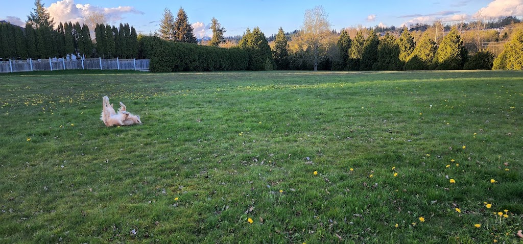 Chimney Hill Park | 15065 74 Ave, Surrey, BC V3S 7H5, Canada | Phone: (604) 501-5050