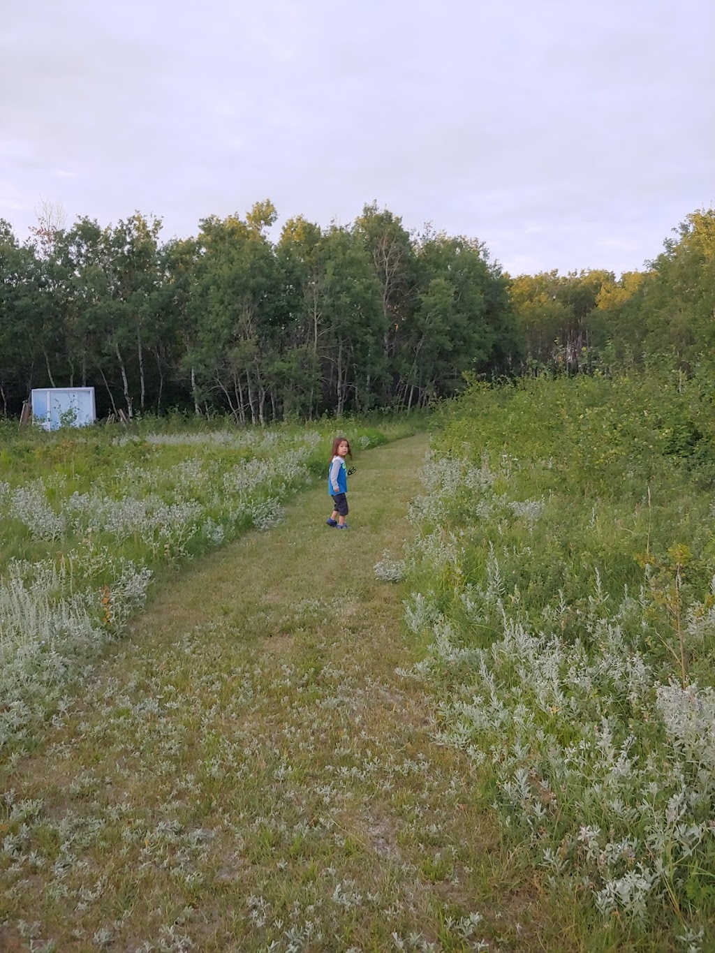 Wild Spirit Prairie Sanctuary | Longlaketon No. 219, SK S0G 1J0, Canada | Phone: (639) 571-1958