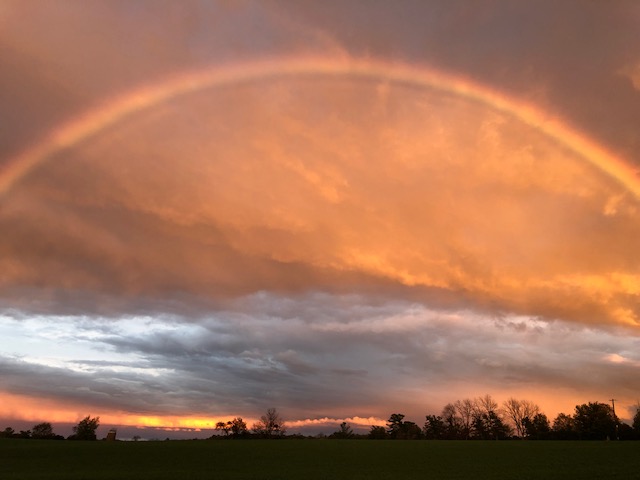 Lisa Bradburn Psychotherapy | 183 Robins Rd, Roseneath, ON K0K 2X0, Canada | Phone: (416) 573-6500
