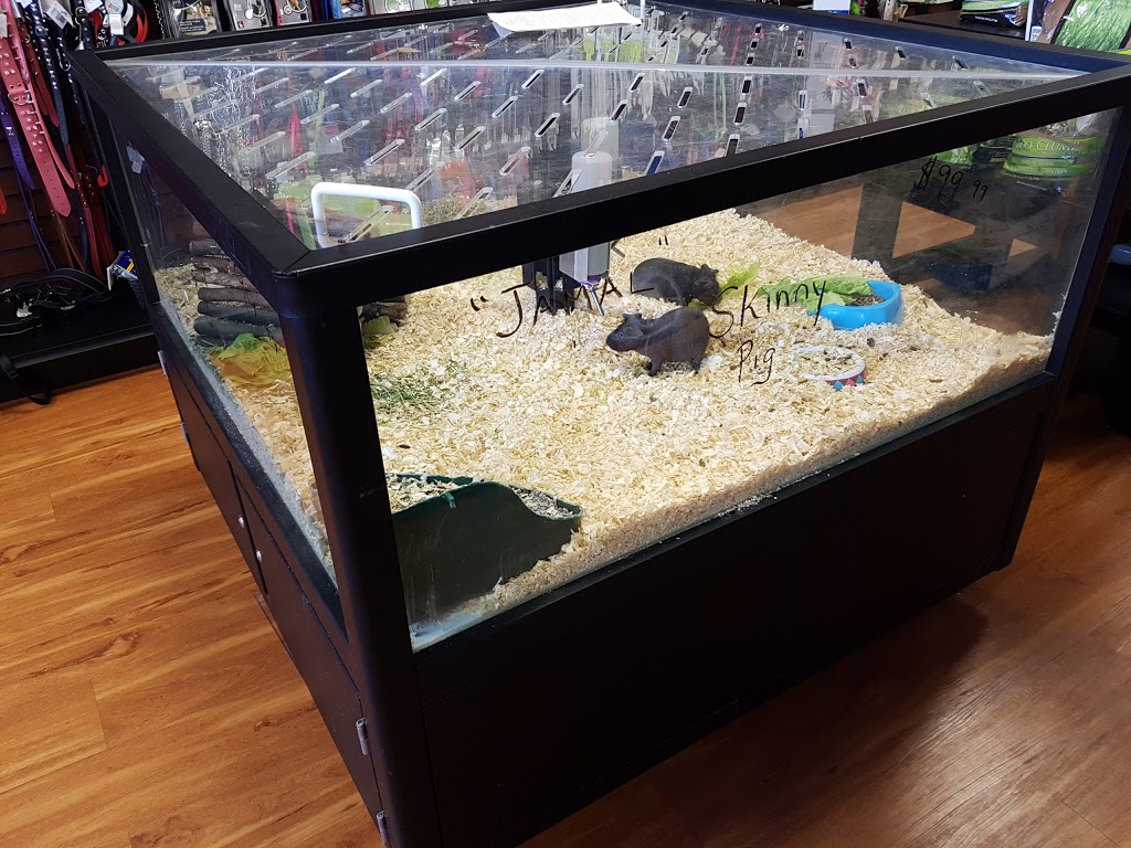 Pet Valu | 707 River Rd W, Wasaga Beach, ON L9Z 1N7, Canada | Phone: (705) 429-8686