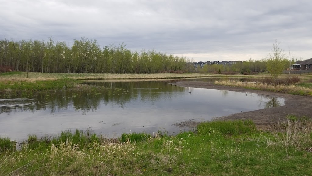 Starling at Big Lake | 2405 Sparrow Crescent NW, Edmonton, AB T5S 0G6, Canada | Phone: (780) 938-5478