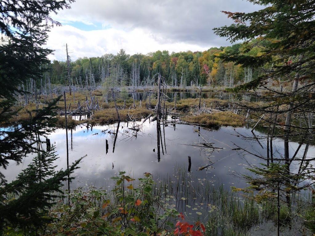 Lake Saint Peter Provincial Park | 356 Lake St. Peter Rd, Lake Saint Peter, ON K0L 2K0, Canada | Phone: (613) 338-5312