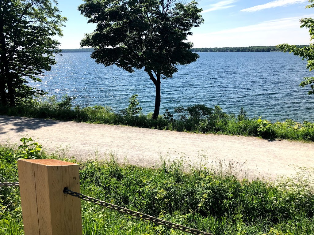 St. Vincent Park | 2-4 St Vincent St, Barrie, ON L4M 3Y2, Canada