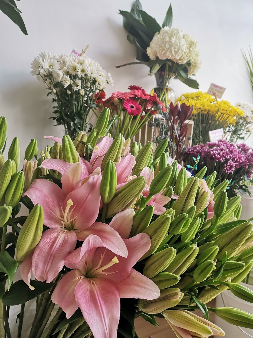 Fleuriste FlauraMex | 387A Boulevard Cartier O, Laval, QC H7N 2K6, Canada | Phone: (450) 973-8028