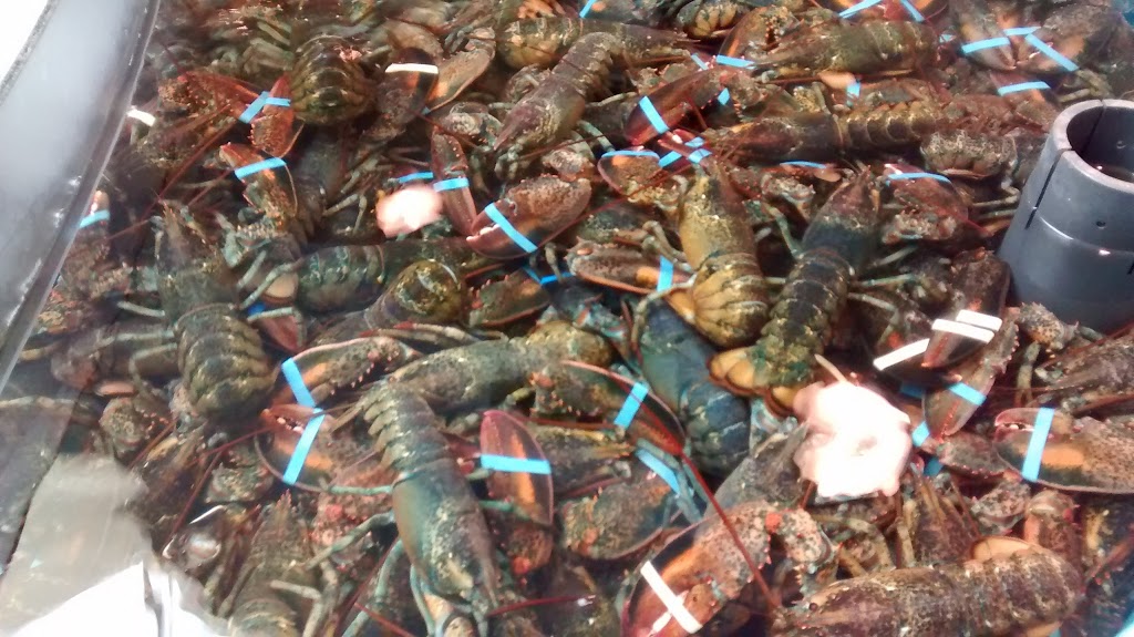 Clearwater Seafoods | 757 Bedford Hwy, Bedford, NS B4A 3Z7, Canada | Phone: (902) 443-0333