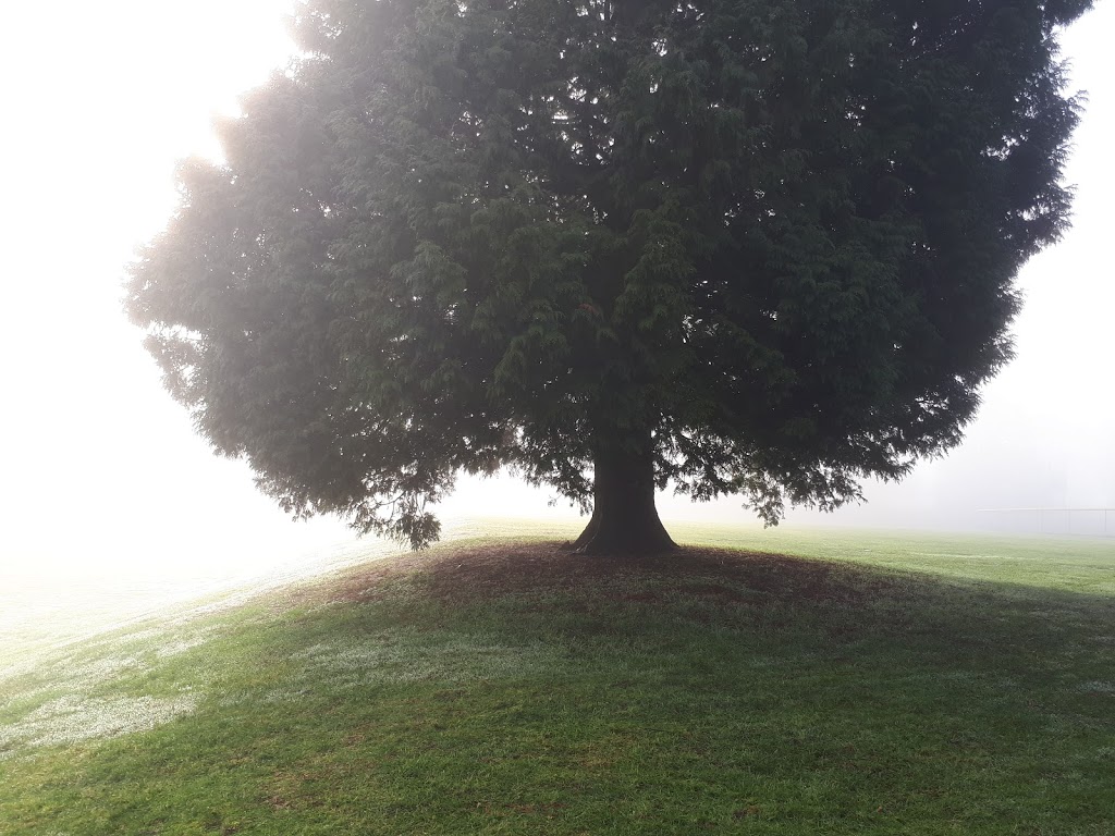 Lionel Courchene Park, Surrey BC | 9900 154 St, Surrey, BC V3R, Canada | Phone: (604) 591-4338