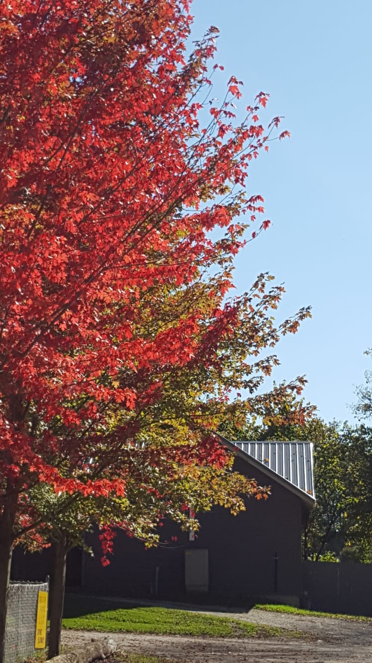 Maple Grove Christian Retreat Centre | 194936 19 Line, Thamesford, ON N0M 2M0, Canada | Phone: (519) 285-3334