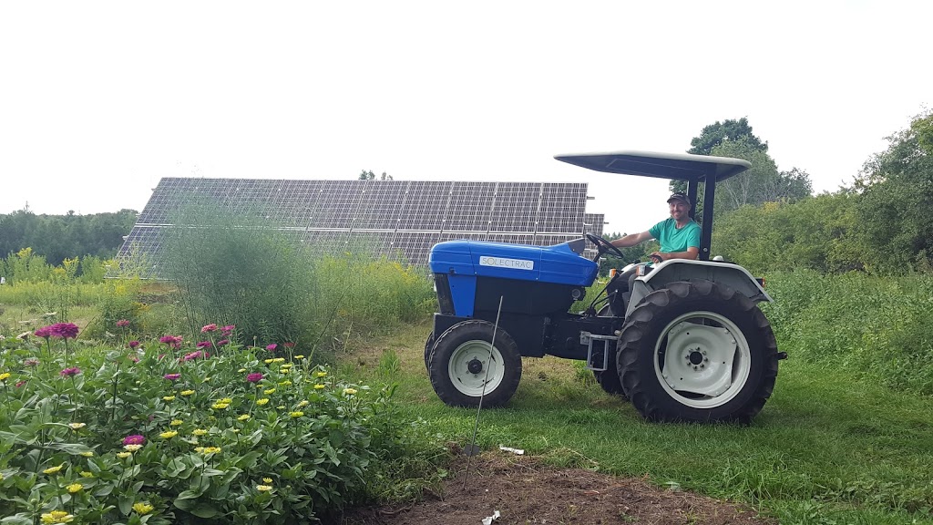 Wheelbarrow Farm | 535 Durham Regional Rd 13, Sunderland, ON L0C 1H0, Canada | Phone: (647) 335-3190