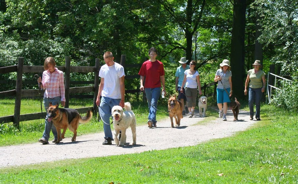 GoodHeart Dog Training Centre | 1469 Sawmill Rd, Ancaster, ON L9G 3L1, Canada | Phone: (905) 304-4284