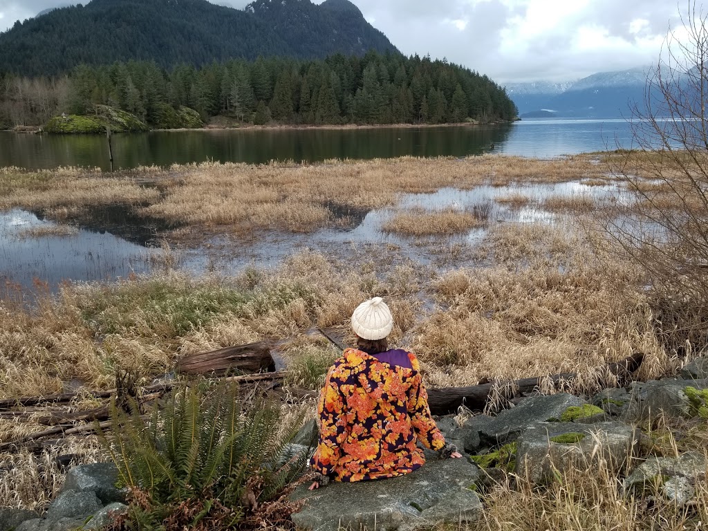 Pitt Polder Ecological Reserve | Pitt Meadows, BC V3Y, Canada