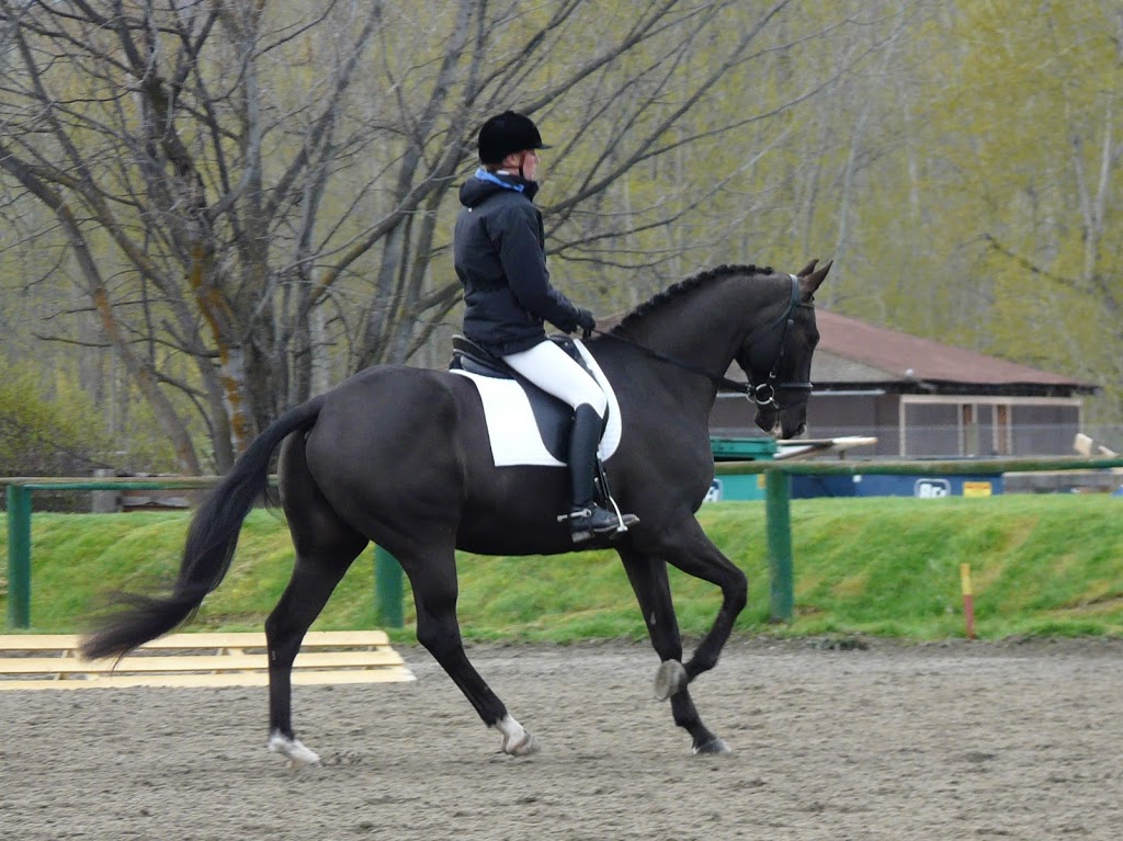 Bridlewood Riding Centre | 4525 Hebbert Rd, Lake Country, BC V4V 2A8, Canada | Phone: (250) 548-3510
