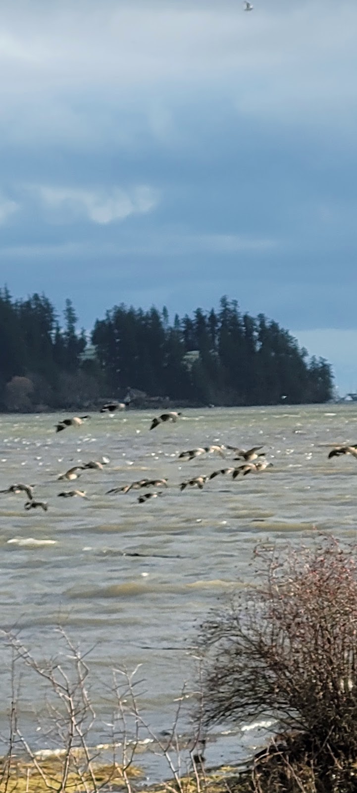 Courtenay Airpark Water Aerodrome | 140 20th St, Courtenay, BC V9N 2B5, Canada | Phone: (250) 897-9220