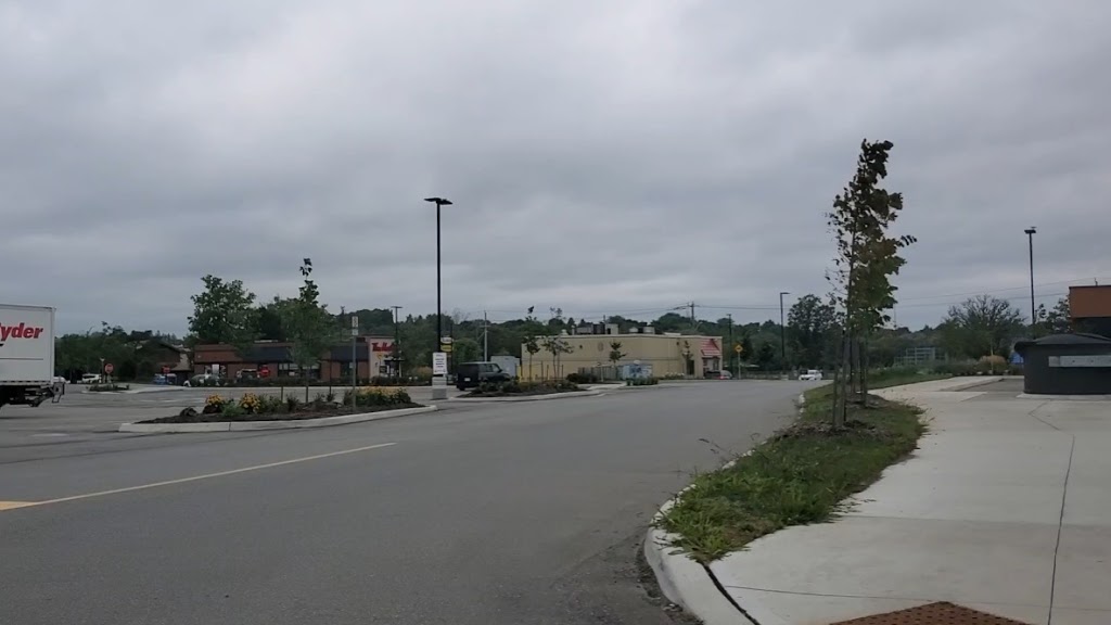 Pet Valu | 123 Pioneer Dr, Kitchener, ON N2P 2A3, Canada | Phone: (519) 895-0444