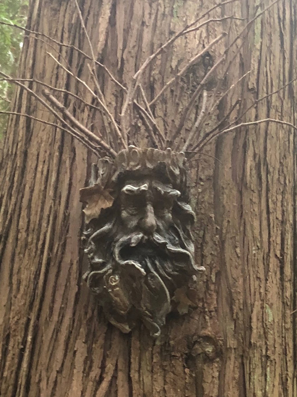 Enchanted Forest Trail | 2050 Benson Rd, Point Roberts, WA 98281, USA