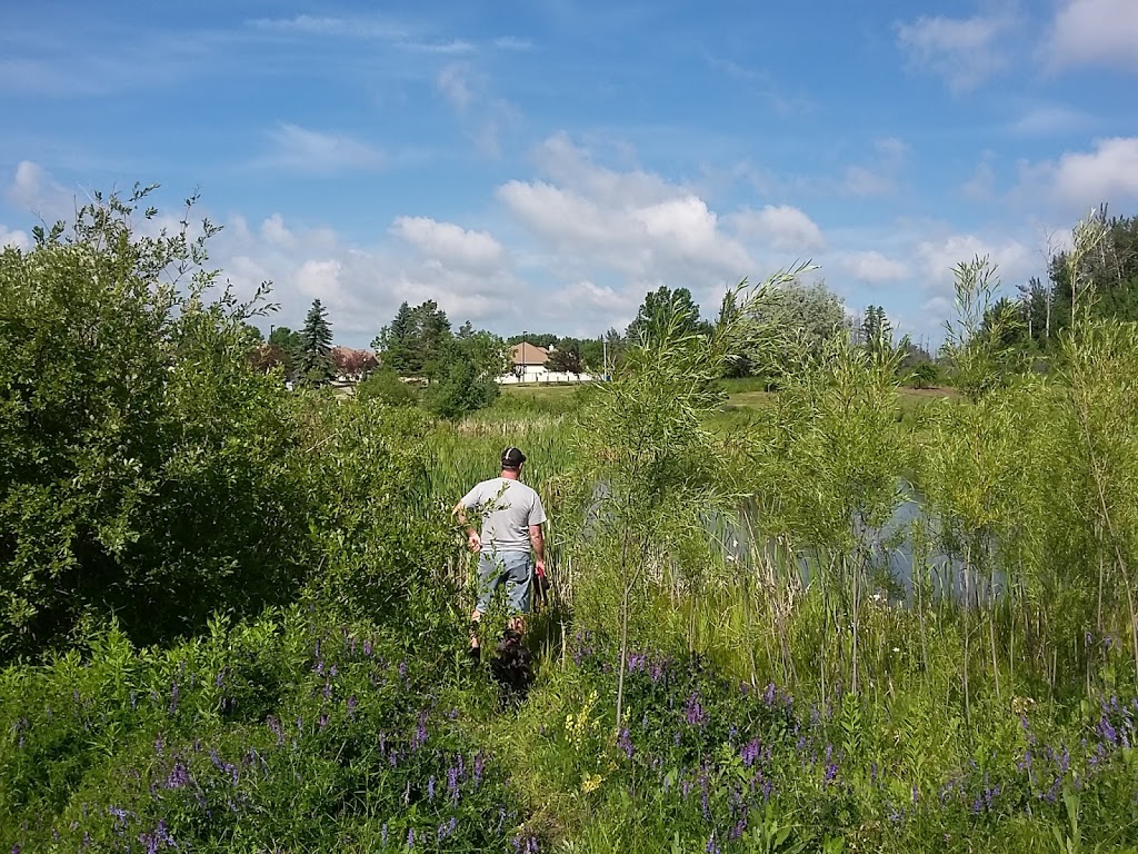 Christopher Cruz Park | 1305 Potter Greens Dr NW, Edmonton, AB T5T 6A3, Canada