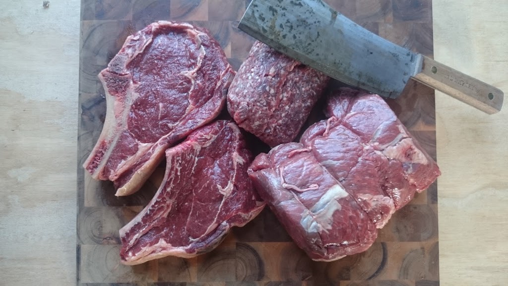 Opeongo Springs Longhorn Grass Fed Beef | 2290 Opeongo Rd W, Eganville, ON K0J 1T0, Canada | Phone: (613) 415-1506