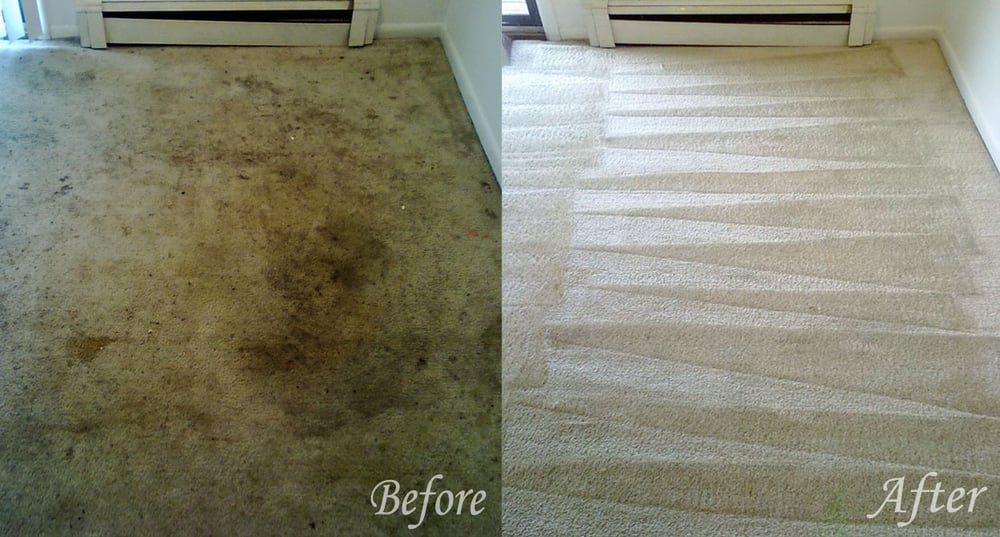 FreshN Up Carpet Cleaning | 10 Big Springs Mews SE, Airdrie, AB T4A 1H3, Canada | Phone: (587) 896-1043