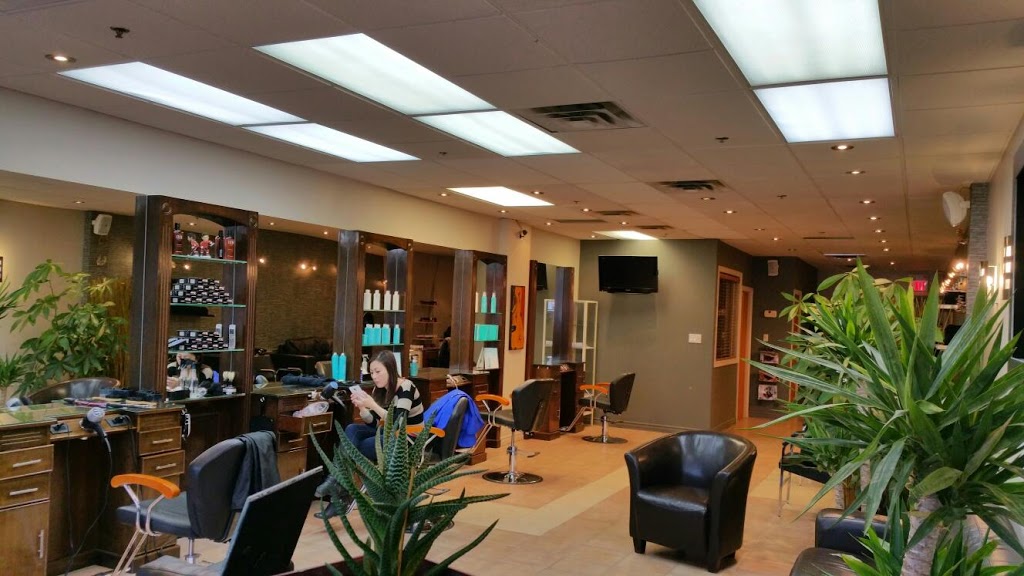 Rudys Barber Style | 457 Hazeldean Rd, Kanata, ON K2L 4E4, Canada | Phone: (613) 836-0444