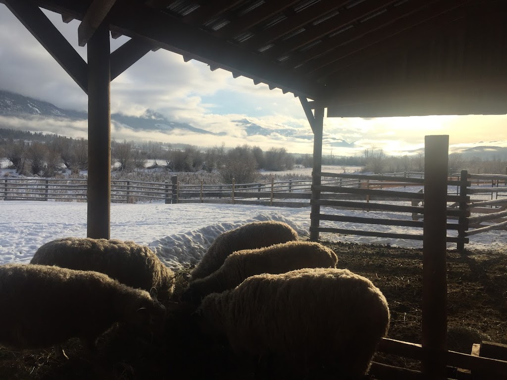 Riverside Farm | 2760 Brisco Rd, Brisco, BC V0A 1B0, Canada | Phone: (250) 219-9443