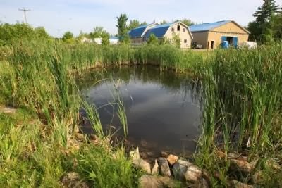 Le Domaine Équestre Gaïa - Centre équestre, pension pour chevaux | 100 Rang Saint-Pierre E, Sherrington, QC J0L 2N0, Canada | Phone: (514) 814-6848