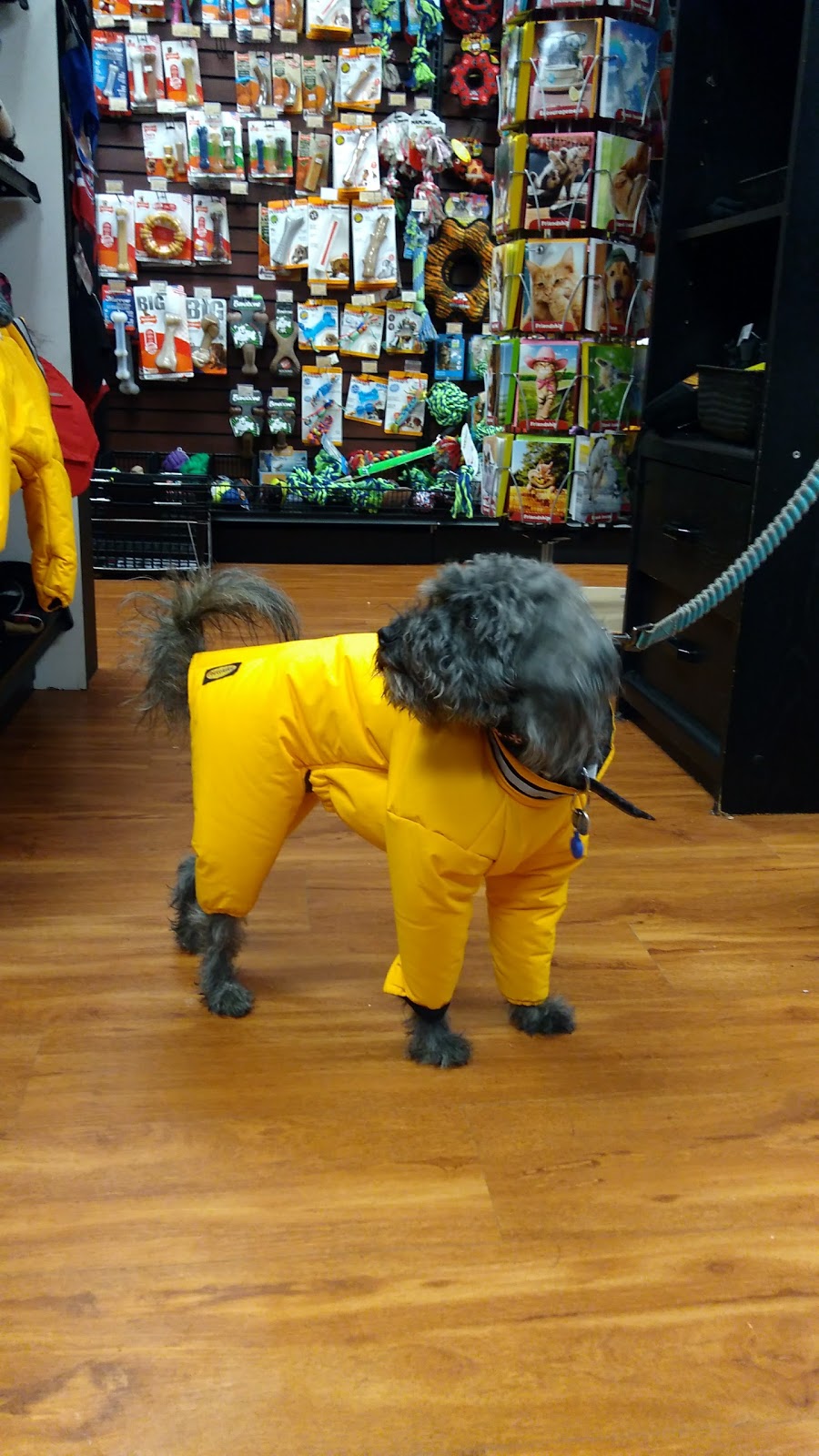 Paulmacs Pets | 144 Queen St, Lakefield, ON K0L 2H0, Canada | Phone: (705) 652-8377