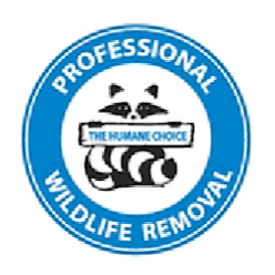 Professional Wildlife Removal | 146 Somerset Rd, London, ON N6K 3M8, Canada | Phone: (519) 473-6210
