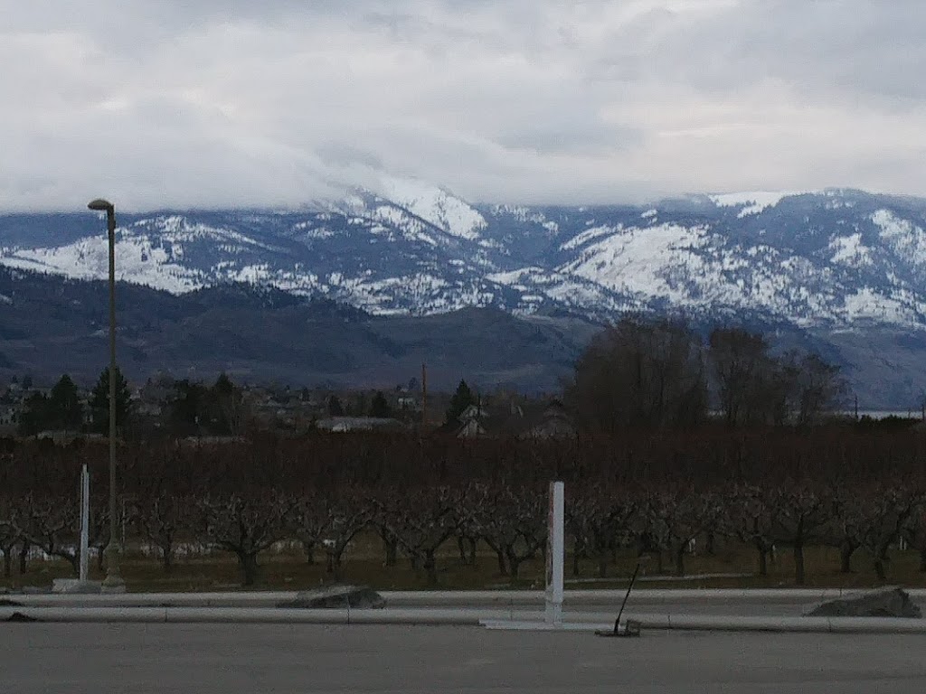 Petro-Canada | 6201 45 St, Osoyoos, BC V0H 1V6, Canada | Phone: (778) 437-3031