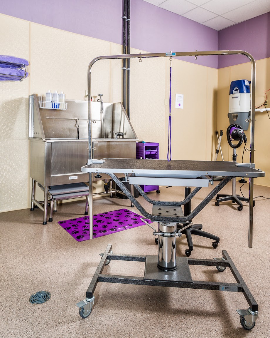 Covered Bridge Boarding Kennel | 301 Concession 4 Rd E, Tiny, ON L0L 2T0, Canada | Phone: (705) 322-0994