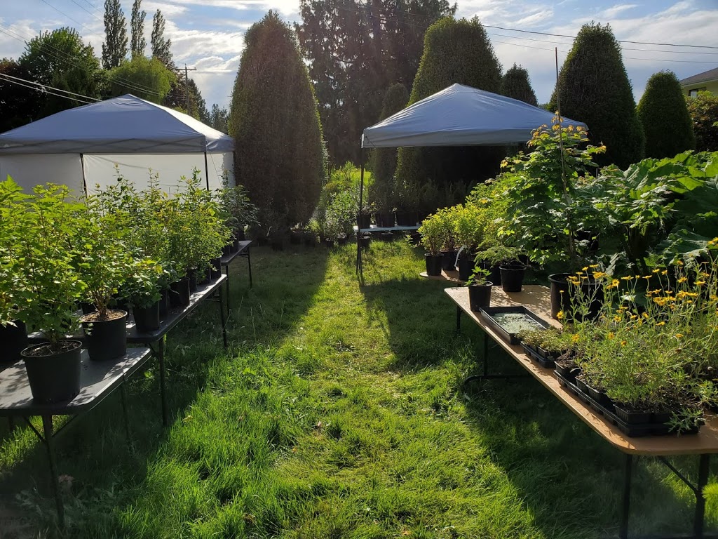 PlanBee Native Plants | 421 Laurier Ave, Port Coquitlam, BC V3C 3V4, Canada | Phone: (778) 855-5565