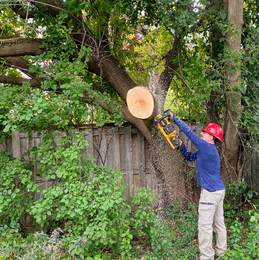 Émondage Red Ladder Tree Services Inc. | 2525 Pl. du Louvet, Saint-Lazare, QC J7T 3L7, Canada | Phone: (514) 696-5205