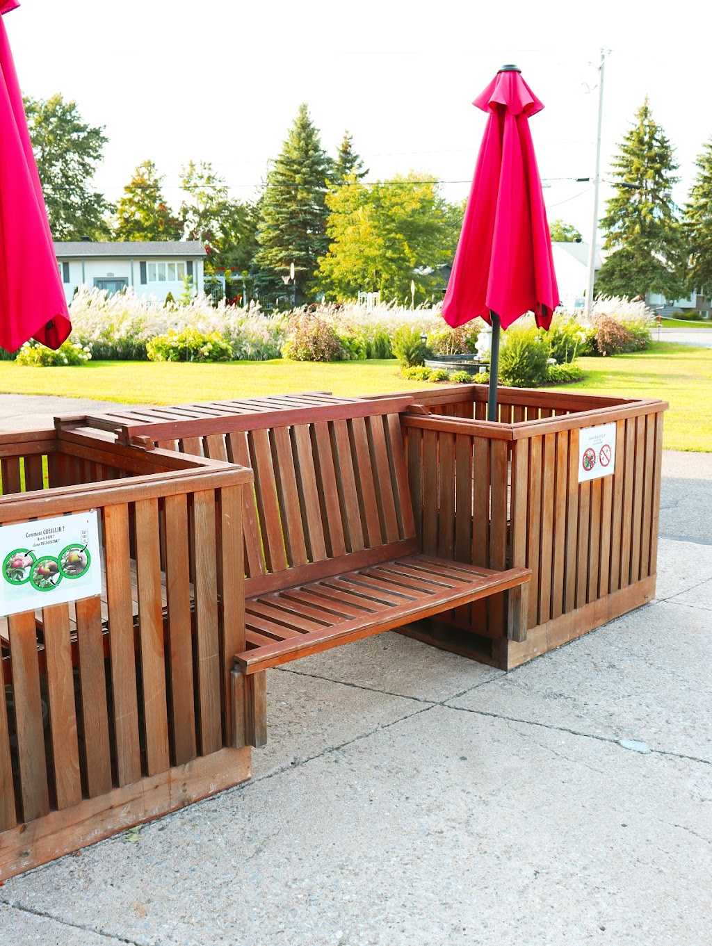 Verger St-Marc | 981 Chem. Lafrenière, Saint-Marc-sur-Richelieu, QC J0L 2E0, Canada | Phone: (450) 464-6453