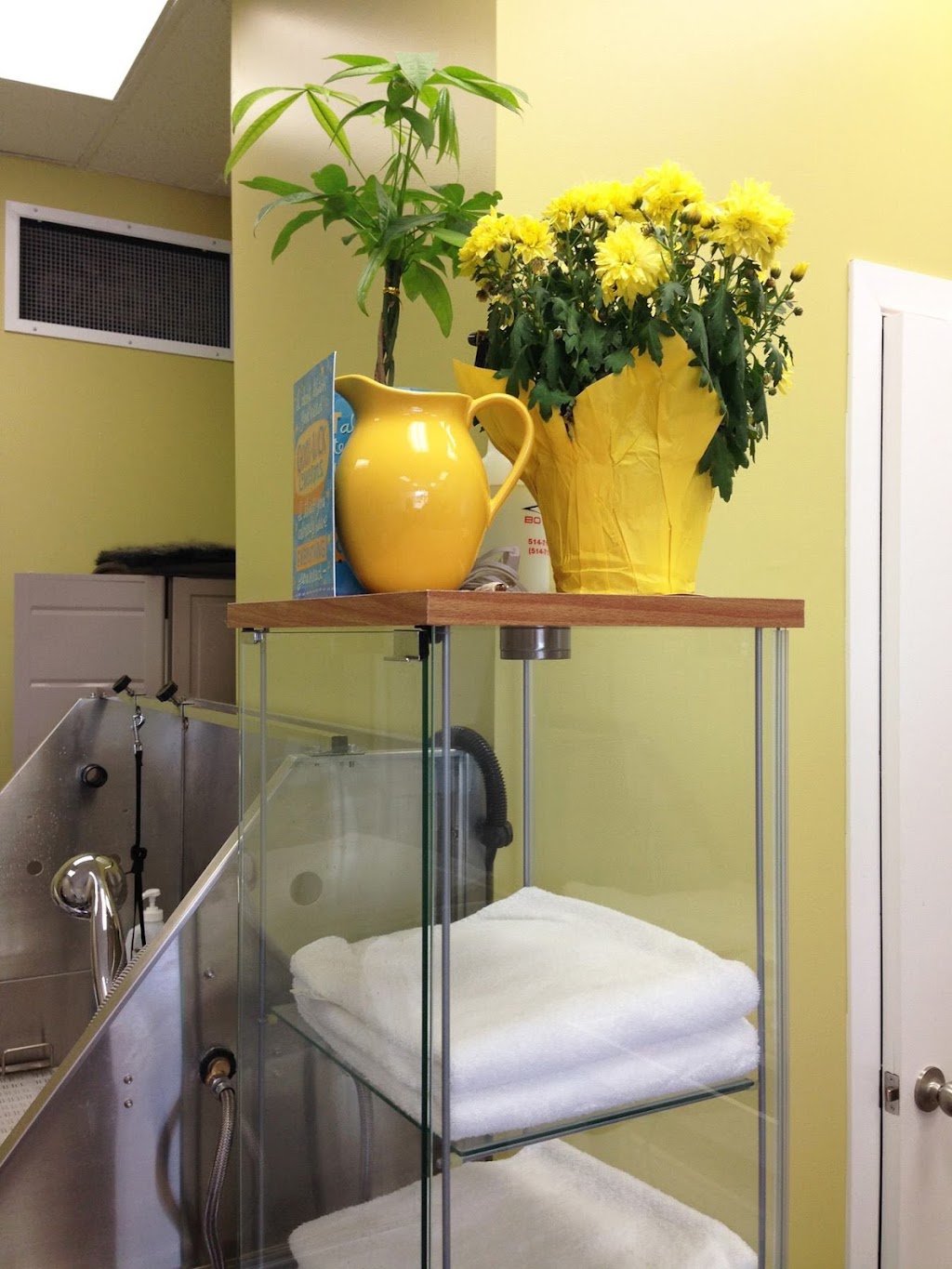 Uptown Pet Grooming | 250 Greenbank Rd, Nepean, ON K2H 8X4, Canada | Phone: (613) 695-2001