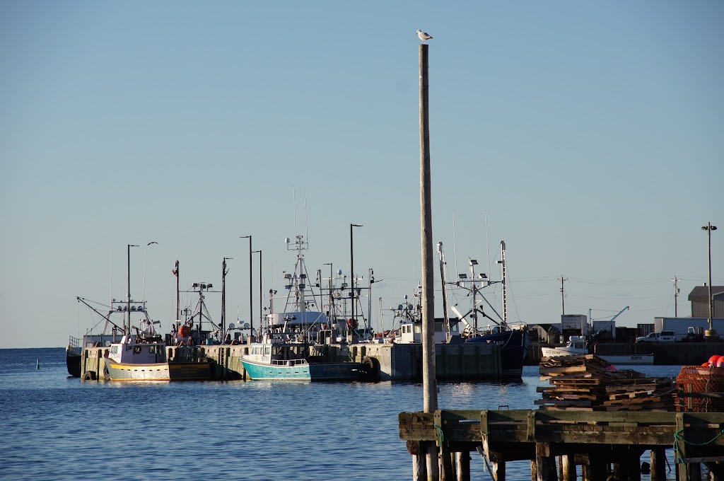 Cheticamp Fisheries | Chéticamp, NS B0E 1H0, Canada | Phone: (902) 224-1971