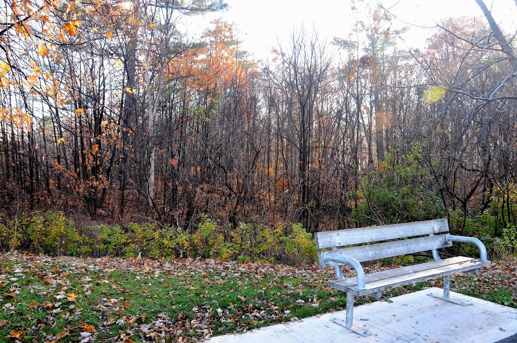 F.B. McFarren Memorial Park | Mississauga, ON L5M 6C2, Canada