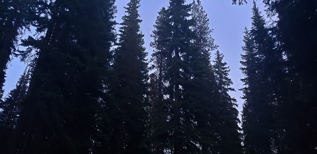 Vuich Falls Campgrounds | Okanagan-Similkameen H, BC V0X 1R0, Canada | Phone: (604) 869-9481