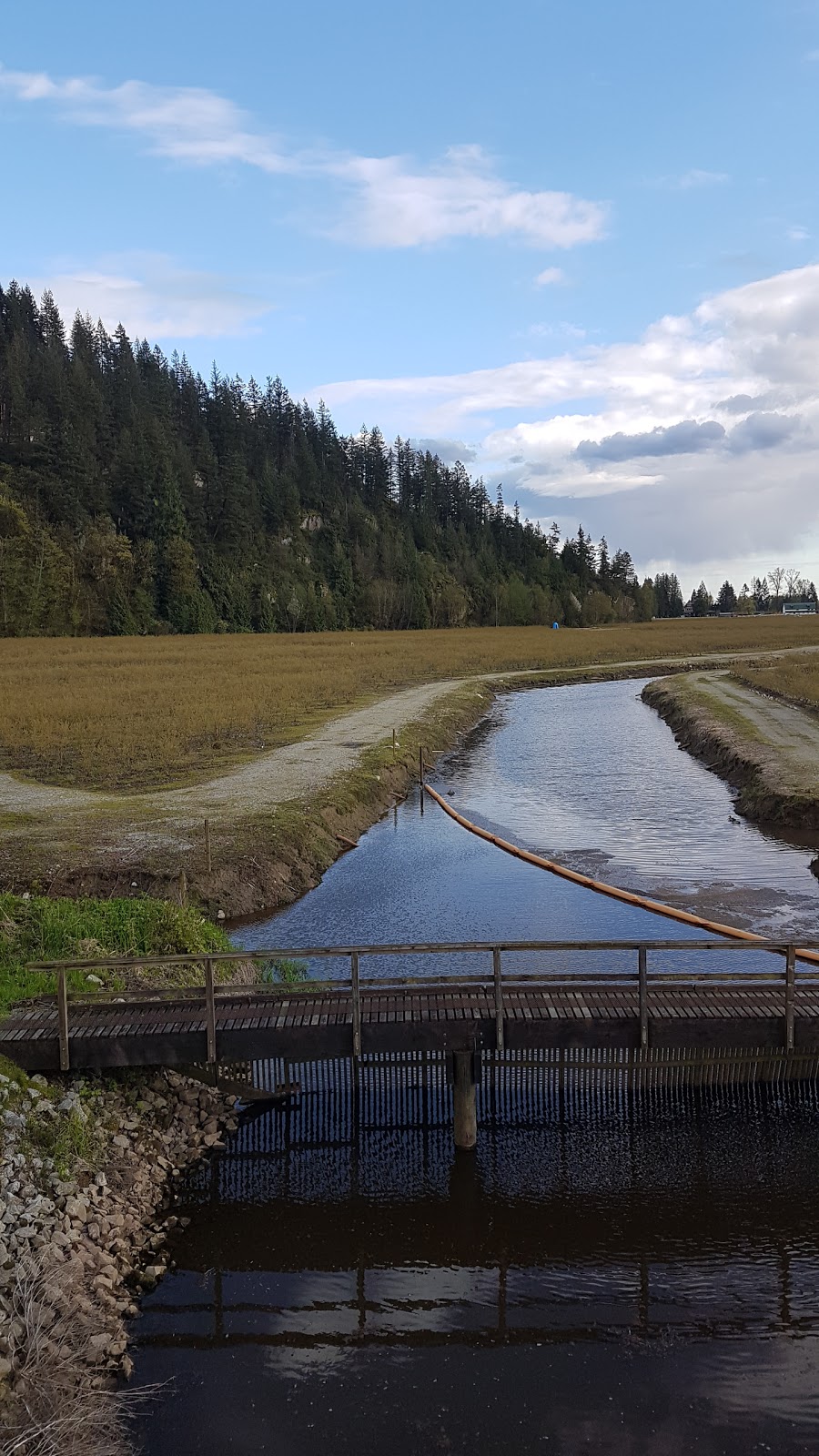Northlands Equestrian Centre Ltd | 15213 Harris Rd, Pitt Meadows, BC V3Y 1Z1, Canada | Phone: (604) 290-6934