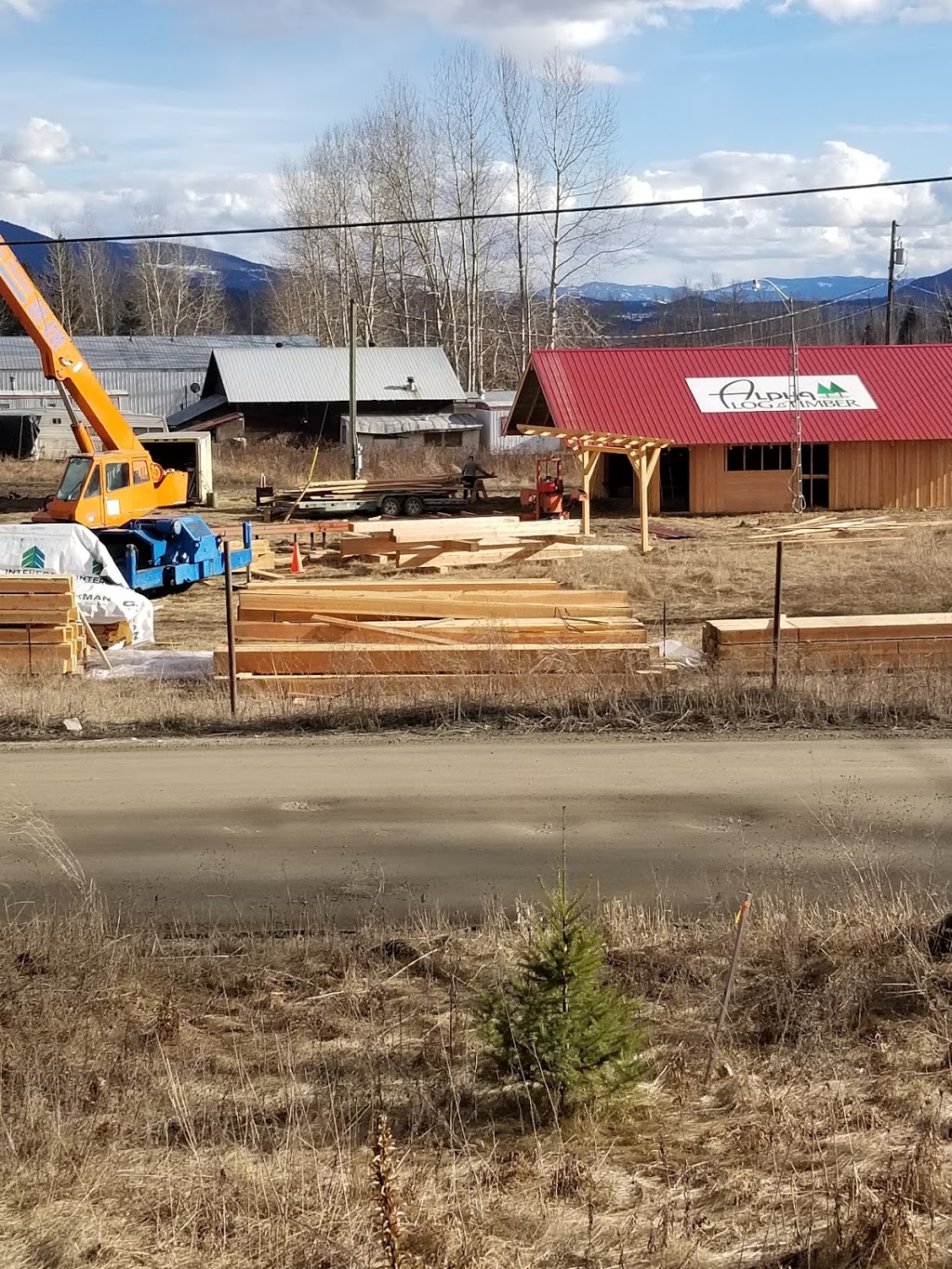 Alphalogandtimber | Tappen Mill Rd, Tappen, BC V0E 2X2, Canada | Phone: (250) 833-6557