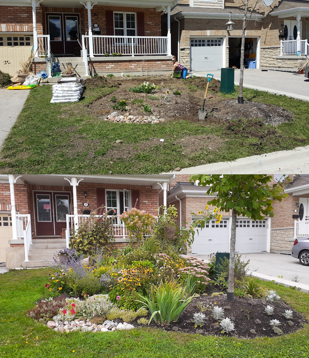 Camellia Garden Maintenance | 22 Swenson St, New Tecumseth, ON L9R 0J8, Canada | Phone: (705) 434-8546