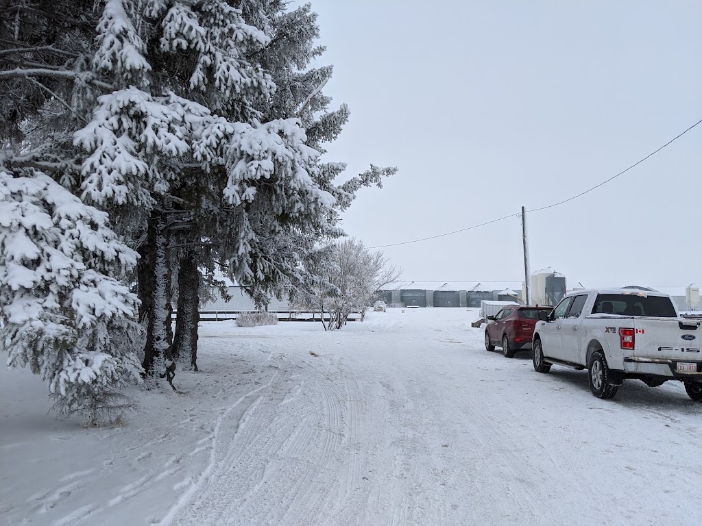 Winters Turkeys | Township Rd 224, Dalemead, AB T0J 0V0, Canada | Phone: (403) 936-5586